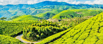 Bangalore_-_Coonoor_-_Coimbatore_Car_Hire_Package-_Bharat_Taxi.png