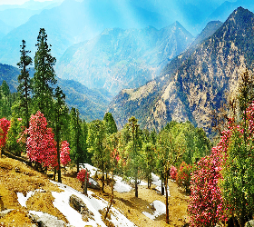 ALMORA