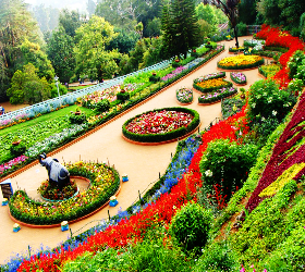 Ooty