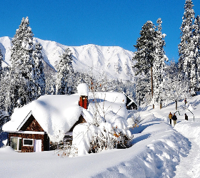 PATNITOP